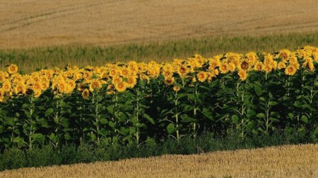 Земеделието има решение на водната и продоволствената криза 