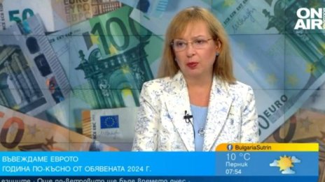 Забавянето за Еврозоната носи само негативи, няма да обеднеем