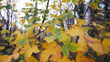 Слънчево и топло ще е днес, с температури 24&deg; - 29&deg;