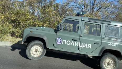 Спипаха два автомобила, в които са превозвани 14 мигранти