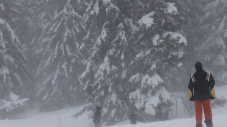 Сняж вали на Витоша, "Алеко" побеля