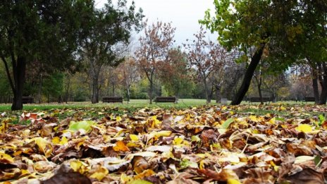 Остава необичайно топло за сезона, температурите ще са около 15&deg;