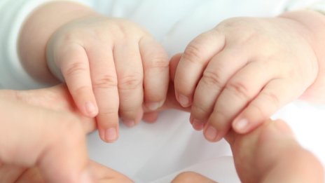 ООН с тревожни данни: Безпрецедентен спад на раждаемостта