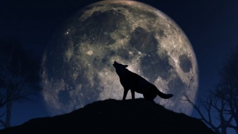 Вълчата луна носи изненади на 4 зодии