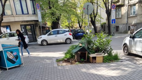 Вашите сигнали: Трябва ли да се хранят бездомните животни?