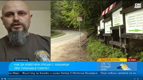 Срещнем ли мечка, нещата са сериозни: Съвети как да оцелеем