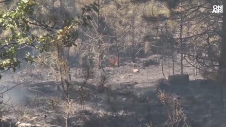 Гасят пожара край Илинденци само от въздух, евакуираха пожарникарите