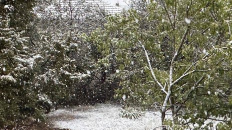 Зимата идва: Възможен е сняг в София и Западна България на 1-2 ноември