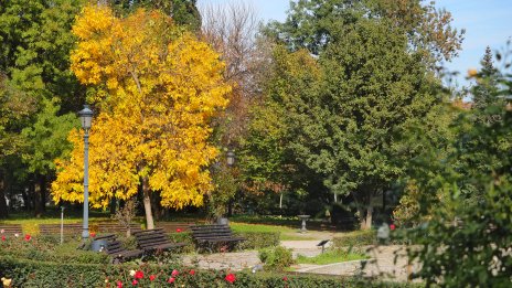 Очаква ни слънчев уикенд, утре градусите до 24