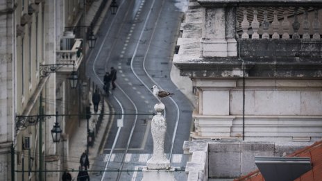 Португалия с пакет от мерки за 800 млн. евро, включва пенсионни надбавки и данъчни облекчения