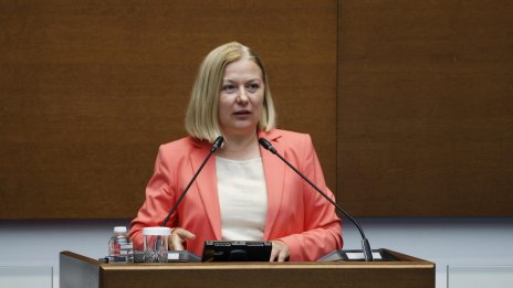 Надежда Йорданова: Бюджетът на кабинета "Радев" тежи на средната класа 