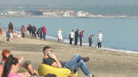 Акула се появи на плажа в Бургас 