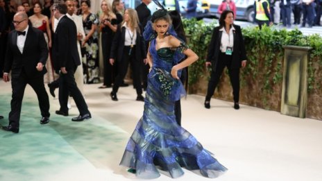 Зендая отново зашемети на Met Gala