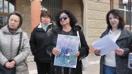 Масово отравяне на кучета, котки и гълъби в Бобов дол 