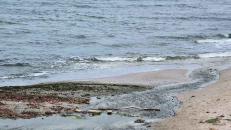 Установиха замърсяване на морето на централния плаж в Кранево 