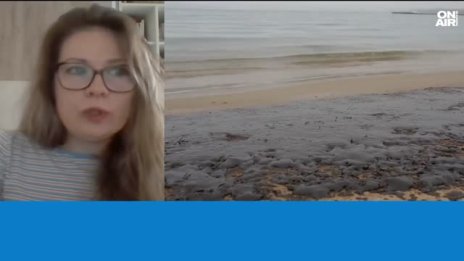 Внимание мазут: Прониква през кожата и носи риск