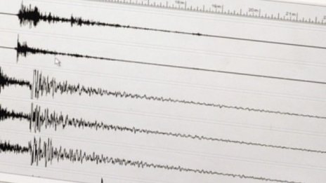Земетресение с магнитуд 4,6 разлюля Албания тази нощ