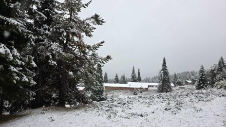 Снежна Коледа в Северна България и по пътищата, на останалите места ще вали дъжд