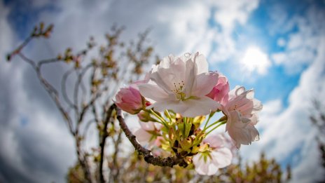 Облачно време на празничния 3 март