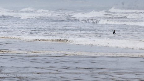 Австриец изчезна в морето край хърватски остров 