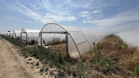 Пустеещите оранжерии - другата истина за българското земеделие