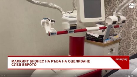 С около 30% са поскъпнали услугите в езикови школи след влизането в Еврозоната