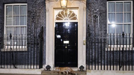 Телефоните на висши служители на Даунинг стрийт "са хакнати от Китай от години&ldquo;