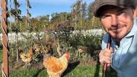 Дейвид Бекъм получи кокошки за ЧРД от Виктория