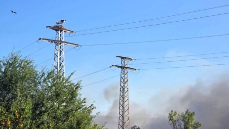 Пожар пламна край АМ &ldquo;Тракия&rdquo; в посока Бургас