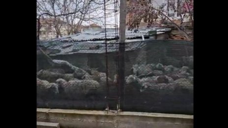 От Helpbook: Съседът ни отглежда около 100 овце в двора си, ароматът е неописуем
