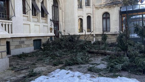 Държавната машина се задвижи след алармата на Симеон Сакскобургготски за парк "Врана"