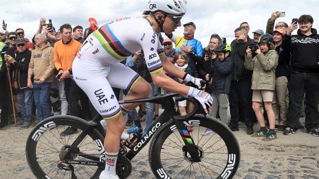 Платиха на търг 95 хиляди евро за скъсана фланелка на Тадей Погачар 