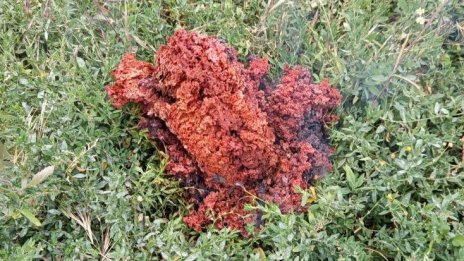 Установиха произхода на мистериозния червен обект в Якоруда