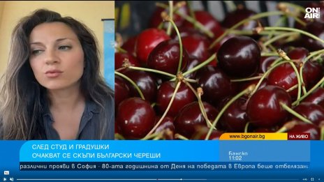 Това лято няма да ядем български череши, кайсии, сливи 