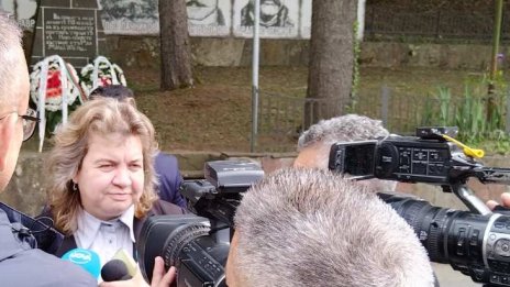 Киселова: Сезирането на КС няма да забави преговорите за еврозоната