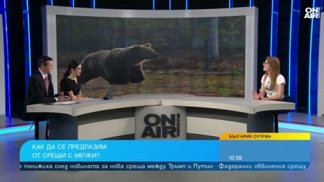 WWF със съвет какво не трябва да правим, ако срещнем мечка