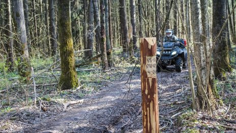  Намериха 62-годишен в гората, загинал с АТВ 