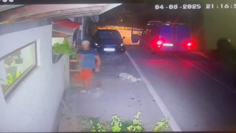 Поредният садист: Мъж уби куче без причина в Тетевен ВИДЕО