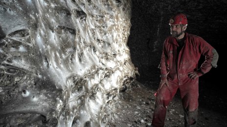 Гигантска паяжина със 111 000 паяка е открита в пещера на границата на Албания и Гърция