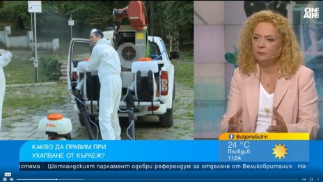 Какво да правим при ухапване от кърлеж?