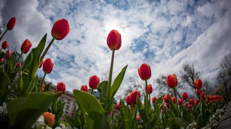 Времето утре: Сутринта хладно, после слънчево