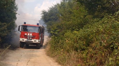Пожари горят на две места край Сатовча
