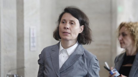 Белобрадова: Не виждам реално разграждане на съществуващия модел на зависимости