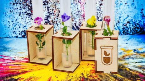 Тази българска иновация променя пазара за цветя