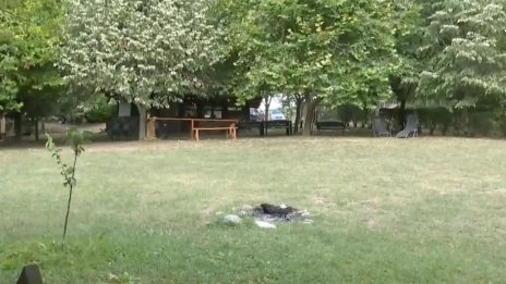 В разбитата от ДАНС секта танцували голо хоро