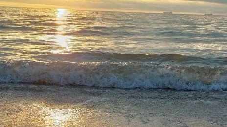 Водолюбиви птици са открити мъртви по крайбрежието на Шабла