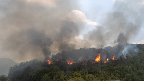 Евакуират село заради огромен горски пожар в Сърбия