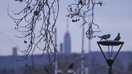 Облачно и ветровито ще е времето утре, на много места ще вали