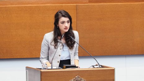 Лена с размисли за политиката, на Лорер ли дума? 