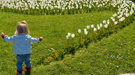 Утре ще бъде слънчево, но на места ще вали с гръмотевици